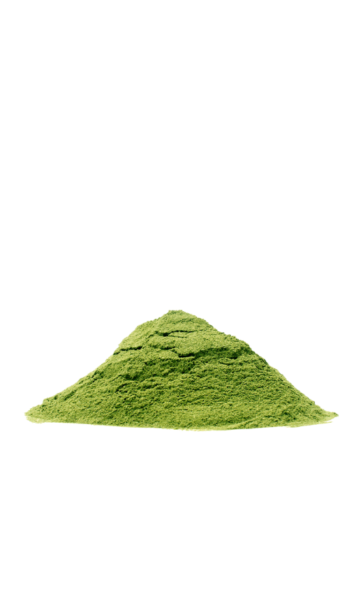 The Essence of Africa Moringablattpulver