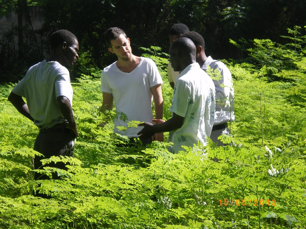 Moringa gegen Armut in Haiti 1 The Essence of Africa Personen in Moringafeld