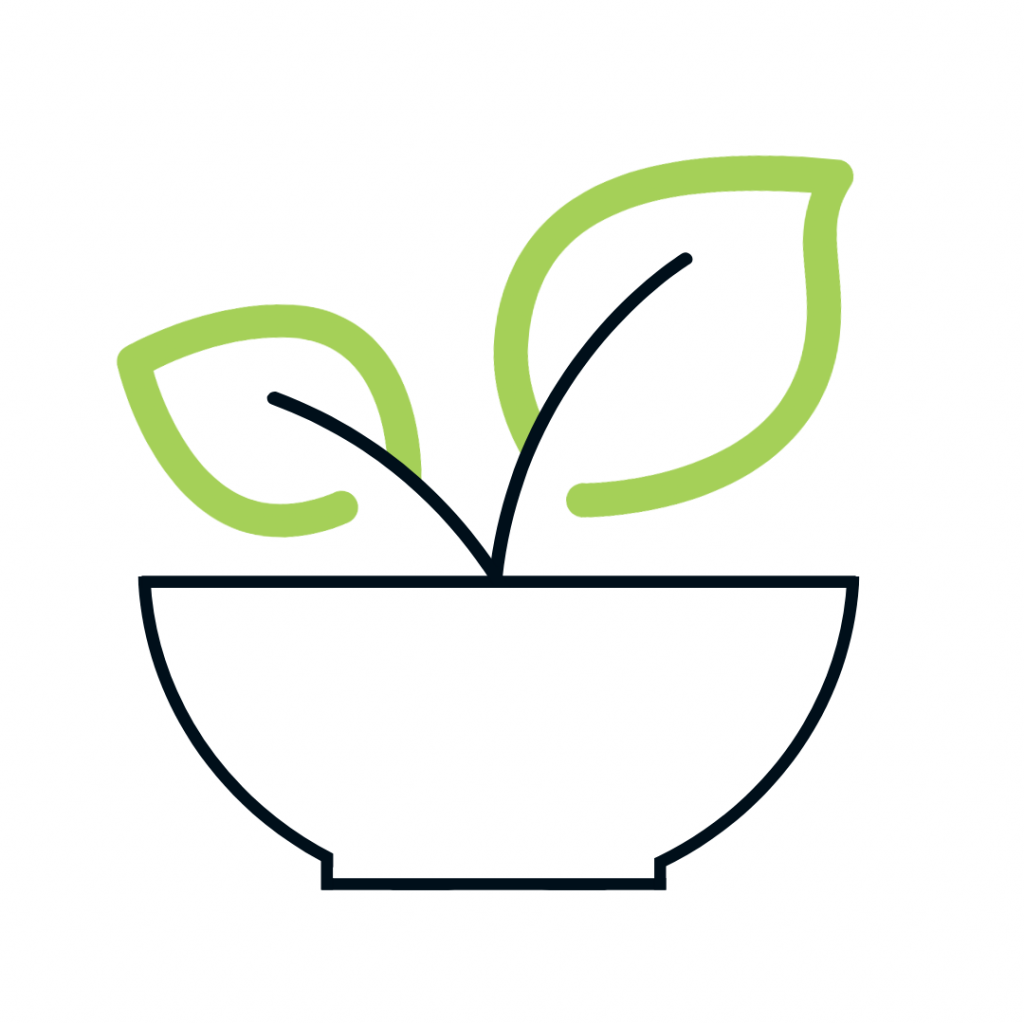 TEOA Icons 11 Bio Superfoods in Premiumqualität