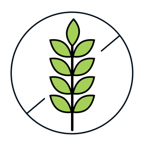 The Essence of Africa Glutenfrei Icon