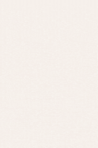 30 Rabatt 3 Bio Superfoods in Premiumqualität