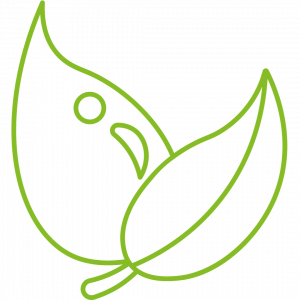 Design ohne Titel 2023 10 10T141731.093 Bio Superfoods in Premiumqualität