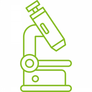 Design ohne Titel 2023 10 10T141750.876 Bio Superfoods in Premiumqualität