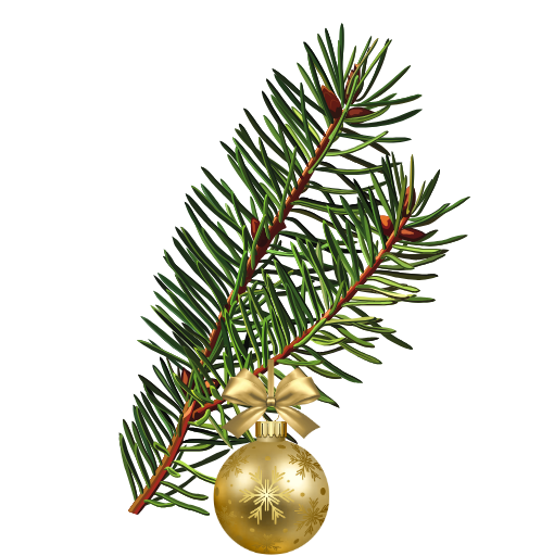 Thermomix Landingpage 13 Bio Superfoods in Premiumqualität